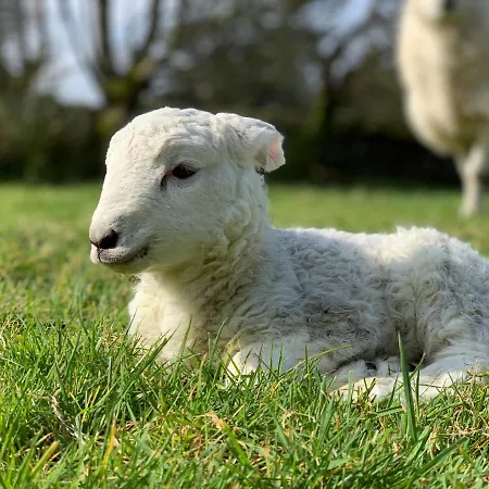 Dom wakacyjny Hidden Hills - Private *