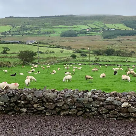 Dom wakacyjny Hidden Hills - Private