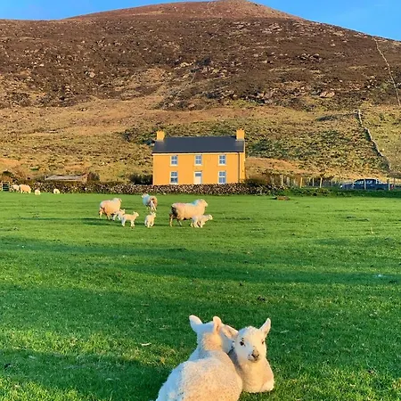 Hidden Hills * Waterville