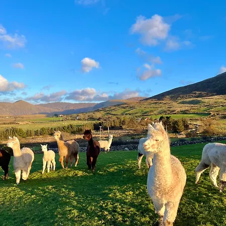 Dom wakacyjny Hidden Hills - Private Waterville