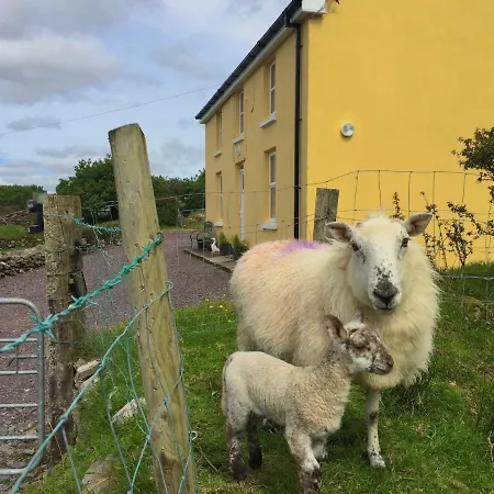 Dom wakacyjny Hidden Hills - Private