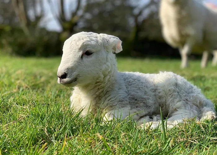 Сasa de vacaciones Hidden Hills - Private *