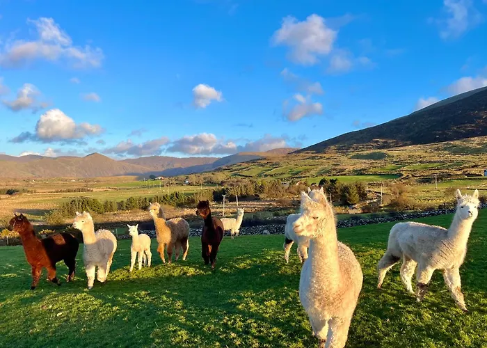Ferienhaus Hidden Hills - Private An Coireán